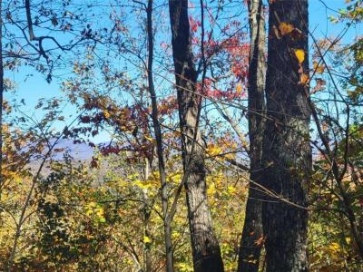14 AC Old Burnt Mountain, Ellijay, Georgia 30540, USA