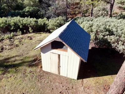 22600 Fiddletown Road, Volcano, California 95689, Stati Uniti