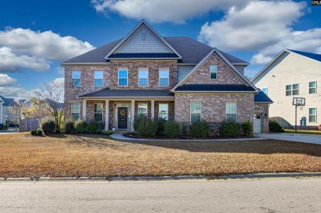 603 Riverdale Court, Chapin, South Carolina 29036, USA