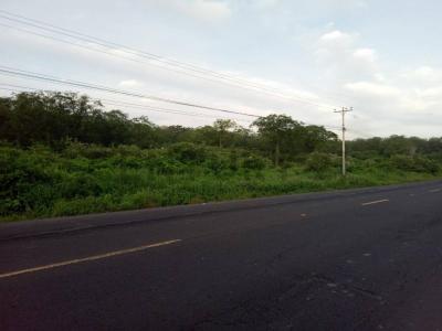 Jaramijo, Manabí 00001, Ecuador