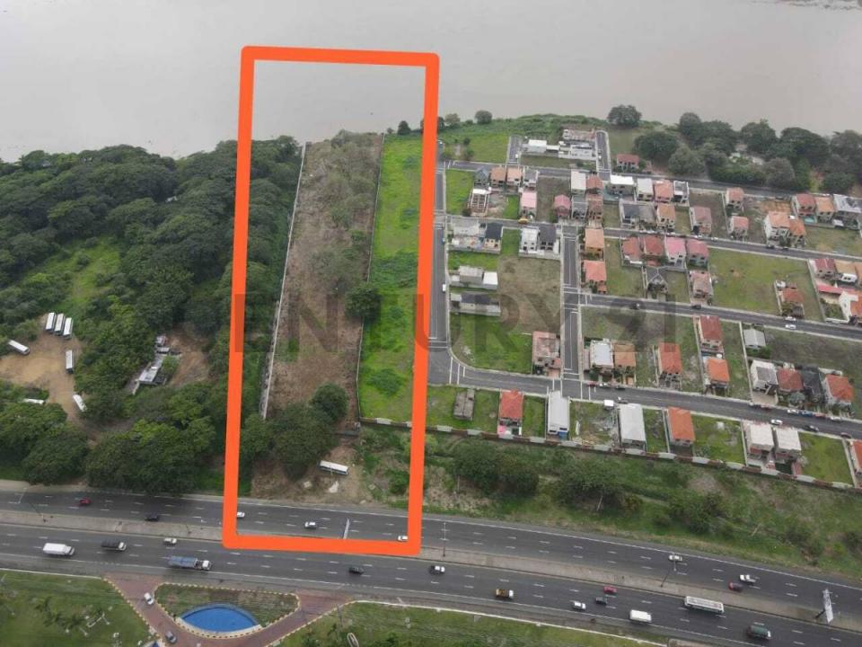 Daule, Guayas 00001, Ecuador