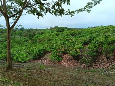 Santa Elena, Santa Elena 00001, Ecuador