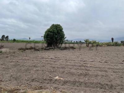 Huaral, Lima 00001, Peru