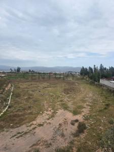 Arequipa, Arequipa 00001, Peru