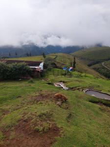 Anta, Cusco 00001, Peru