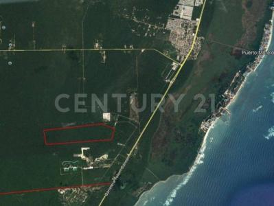 Ruta de los Cenotes 7,, Puerto Morelos, Quintana Roo 77580, Messico