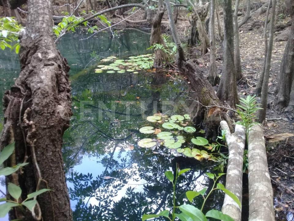 Ruta de los Cenotes Parcela 83,, Puerto Morelos, Quintana Roo 77580, Messico