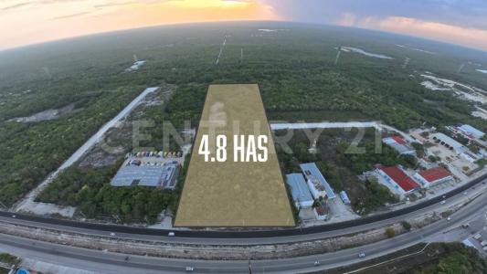 Puerto Morelos, 金塔纳罗奥 77580, 墨西哥