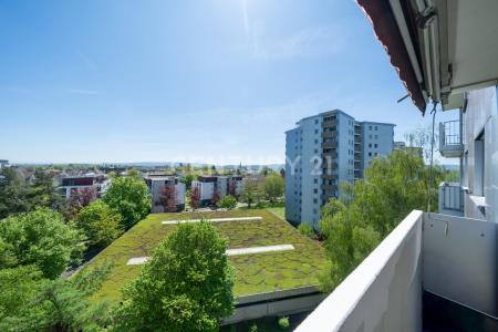 Radolfzell, Baden-Württemberg 78315, Germany