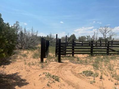 4842 W 1375 S 8, Roosevelt, Utah 84066, Stati Uniti