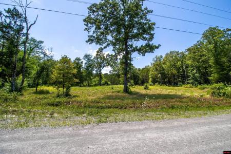 3234 CR 11, Midway, Arkansas 72653, Amerika Birleşik Devletleri