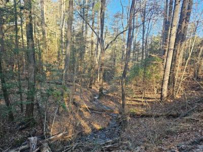 LT 162 Nexus Drive, Ellijay, Géorgie 30540, États-Unis