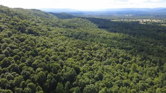 Unk Timber Lane, Mena, Arkansas 71953, USA