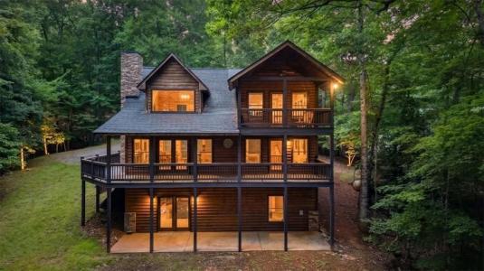 648 Stuart Mountain Road, Mineral Bluff, Géorgie 30559, États-Unis