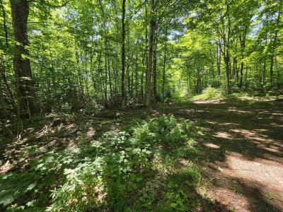 1700 Arcadia Lane, Westmore, Vermont 05860, USA