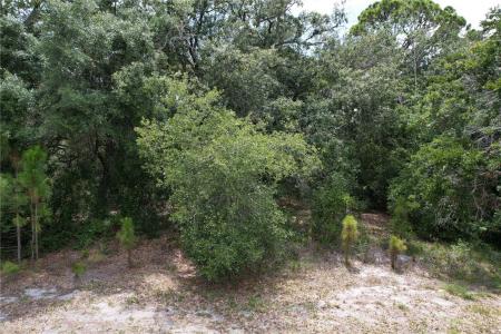 1008 Wildflower Street, Lake Placid, Florida 33852, USA