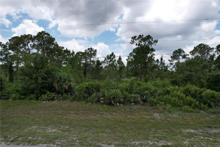 1056 Jaguar Boulevard, Lehigh Acres, Florida 33974, USA