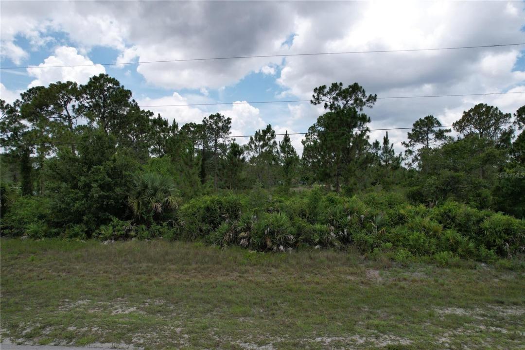 1056 Jaguar Boulevard, Lehigh Acres, Florida 33974