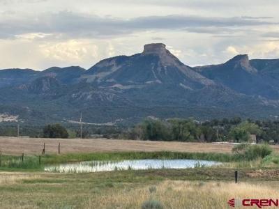 34099 Road M, Mancos, Colorado 81328, Stati Uniti