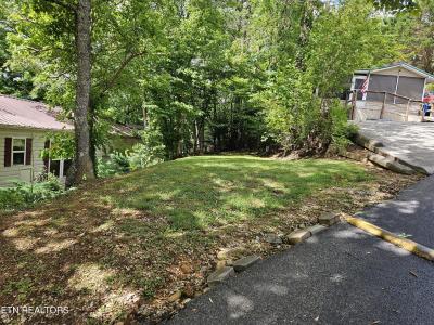 417 Mountain Thrush Drive, Townsend, Tennessee 37882, États-Unis