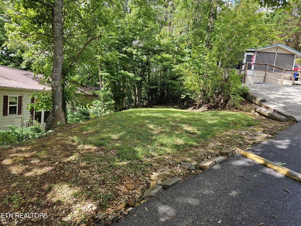 417 Mountain Thrush Drive, Townsend, Tennessee 37882, USA