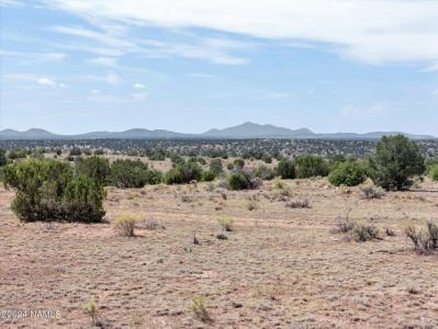 5724 W. Blue Star Trail, Williams, Arizona 86046, USA