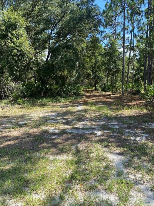 OLEANDER Drive, Indian Lake Estates, Floride 33855, États-Unis