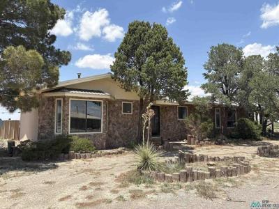 7429 Roswell Hwy Highway, Artesia, New Mexico 88210, USA