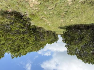 3828 W FM 219, Hico, Texas 76457, USA