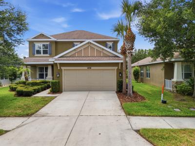 9115 Bella Vita Circle , Land O Lakes, Floride 34637, États-Unis
