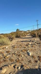 1 Baseline, 29 Palms, Californie 92277, États-Unis