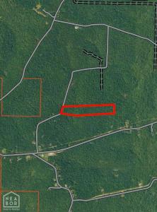22 Red Fox Rd, Hardy, Arkansas 72542, Estados Unidos