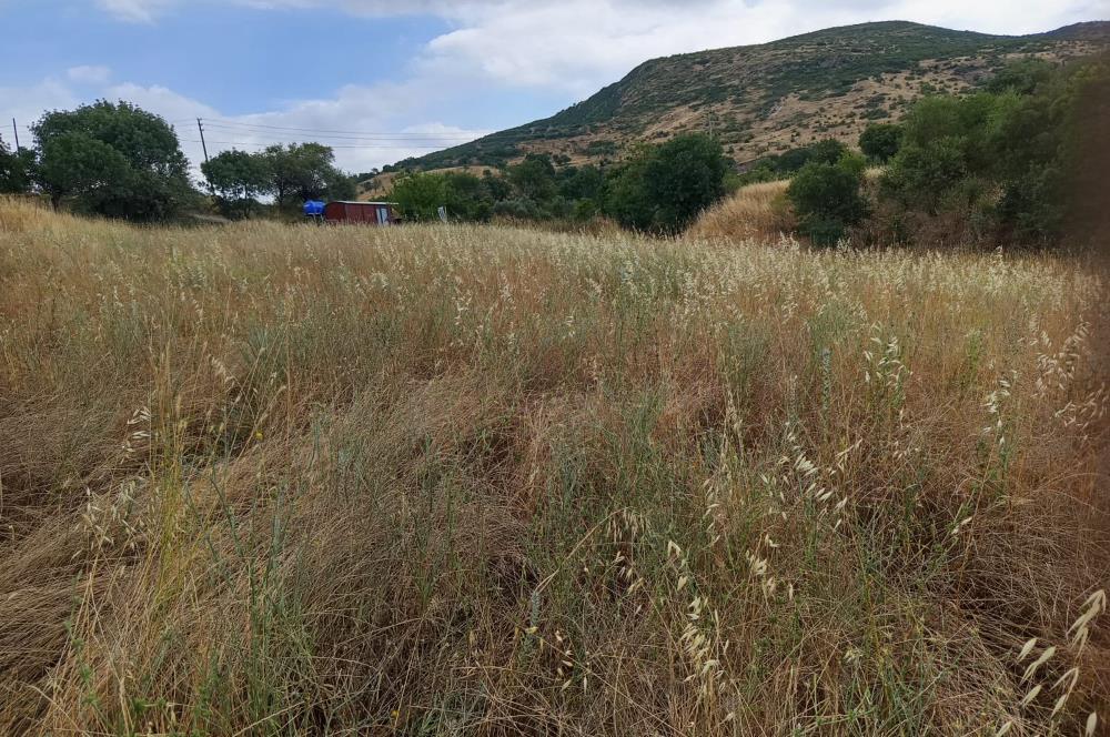 Balıkesir, Turchia