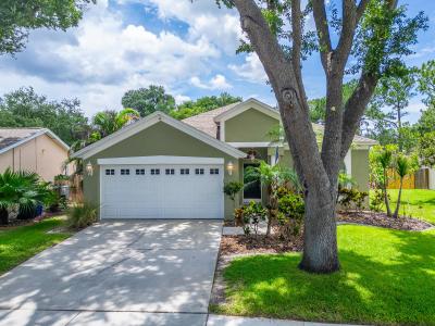 11514 WELLMAN DR , Riverview, Florida 33578, USA
