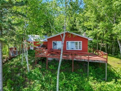 39718 W Deer Lake Rd, Deer River, Minnesota 56636, USA