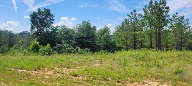 96 Evergreen Dr, Dover, Tennessee 37058, États-Unis