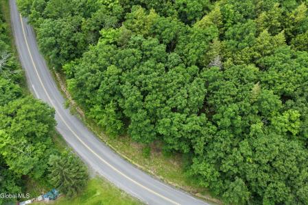 L1.00 Cotton Hill Road, Middleburgh, New York 12023, USA