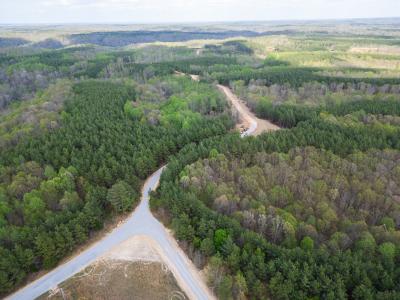 0 Rustic Pines Rd, Dover, Tennessee 37058, Amerika Birleşik Devletleri
