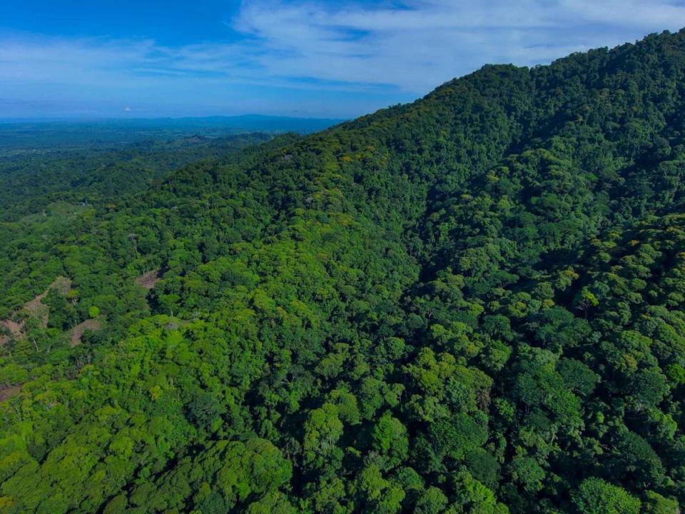 Quepos Quepos, פונטרנס 00001, קוסטה ריקה