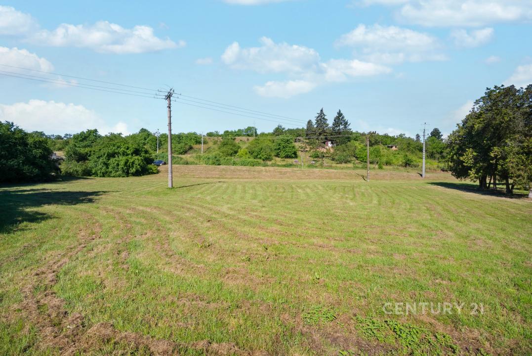 Dolní Kounice, Brno-venkov 100 00, الجمهورية التشيكية