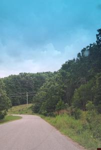BASSWOOD DRIVE lot: 4, Mountain Home, Arkansas 72653, Stati Uniti