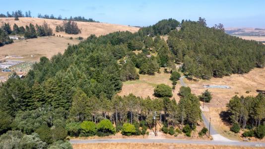 1187 Tannery Creek Rd, Bodega, California 94922, USA