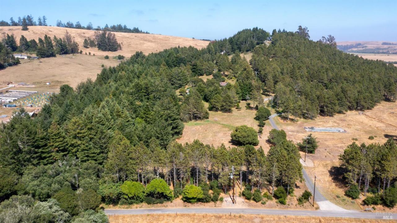 1187 Tannery Creek Rd, Bodega, California 94922, Stati Uniti