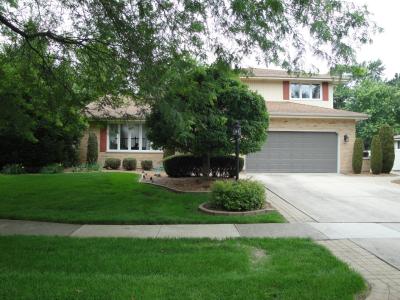 18916 Creekview Lane, Mokena, Illinois 60448, États-Unis