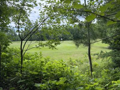 Lot 2 Tahoe Cr, Mercer, Wisconsin 54547, États-Unis