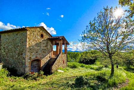 località podere la vena, Civitella Paganico, Toscana 58045, Italy