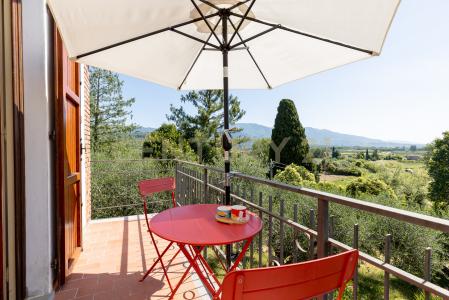 Via di Moriano, Lucca, Toscana 55100, Italien