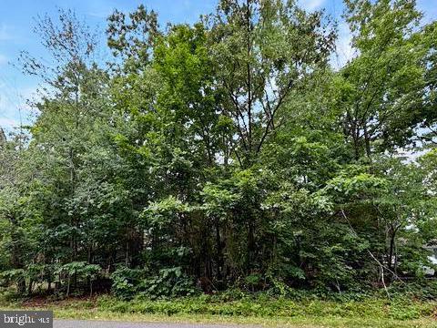 604 Yorktown Boulevard, Locust Grove, Virginia 22508, USA