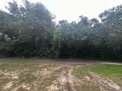 TBD Old Israel, Livingston, Texas 77351, USA