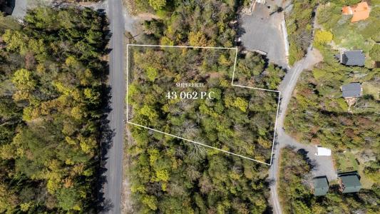 181  Ch. du Renard, Entrelacs, Quebec J0T 2E0, Canadá